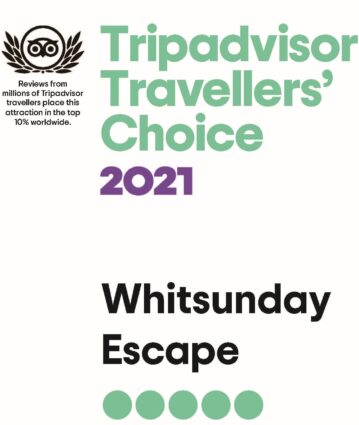TripAdvisor Travellers' Choice Award 2021
